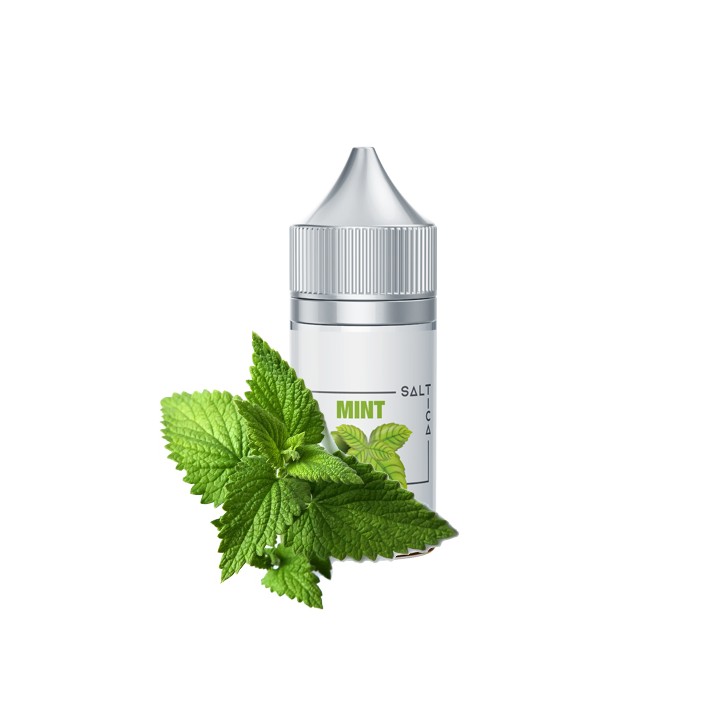 Saltica Mint Salt Likit