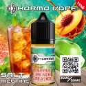 Dharma Apple Peach Tea Ice Salt Likit | Dharma Dharma